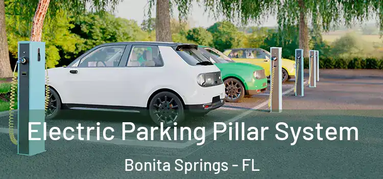 Electric Parking Pillar System Bonita Springs - FL