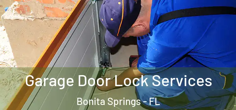 Garage Door Lock Services Bonita Springs - FL