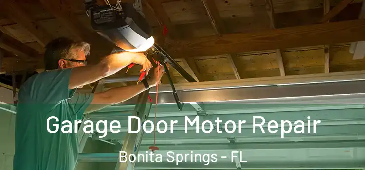  Garage Door Motor Repair Bonita Springs - FL