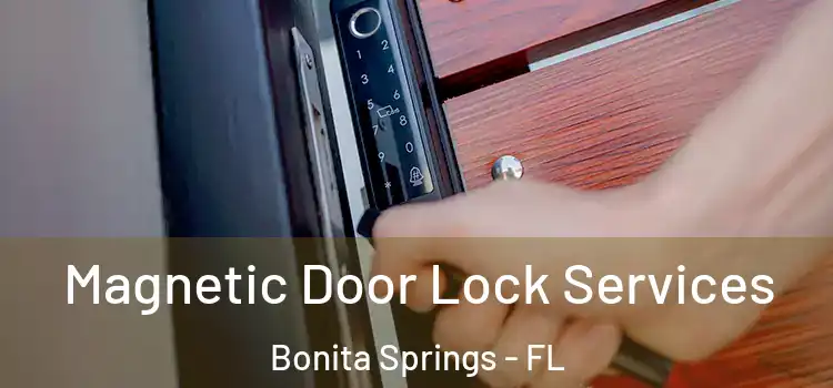 Magnetic Door Lock Services Bonita Springs - FL